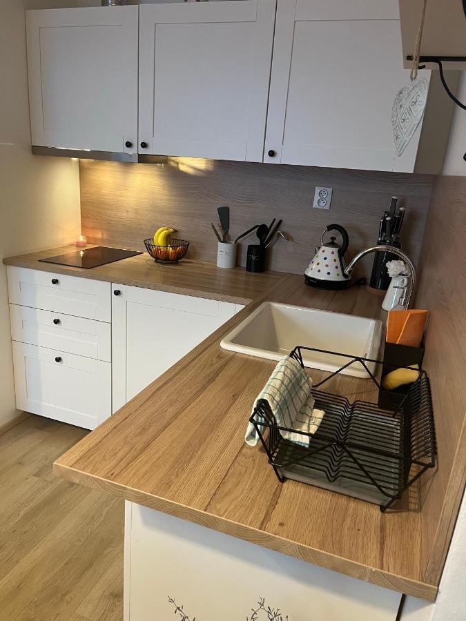 Útulný apartmán na Dolní Moravě Dolní Morava Exteriér fotografie