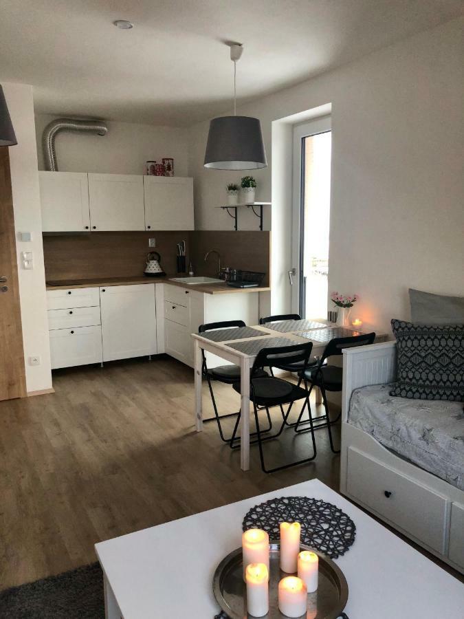 Apartmán Útulný apartmán na Dolní Moravě Dolní Morava Exteriér fotografie